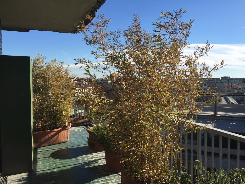 Roof Garden Buonarroti Life Mita